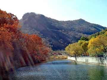 天天彩好彩天天免费，上海排水板